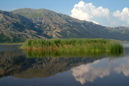 DSCF8396