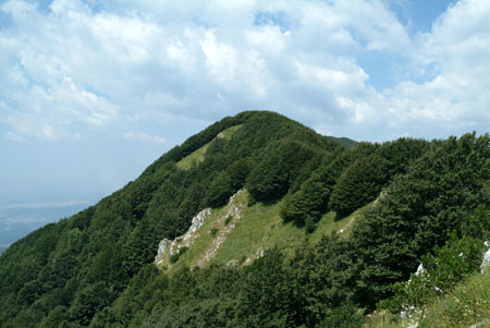 DSCF8839