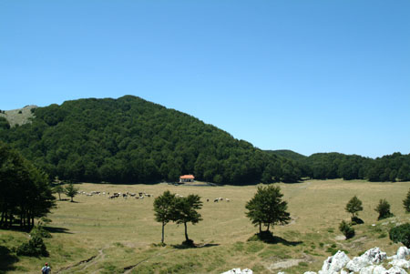 DSCF8883