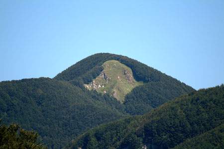 DSCF8893