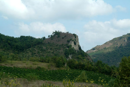 DSCF9688