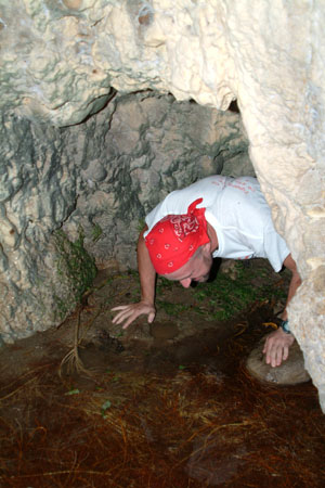 DSCF9742