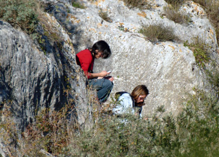 matera 32