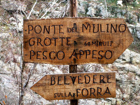 le indicazioni