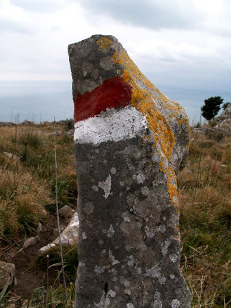 Totem