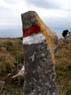 Totem