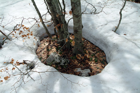 DSCF0671
