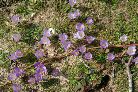 DSCF0674