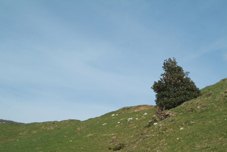 DSCF0679