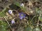 DSCF0640