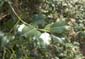 DSCF0643