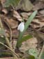DSCF0649
