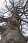DSCF0655