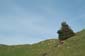 DSCF0679