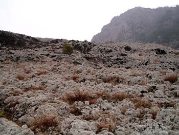Collina