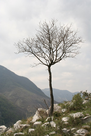 foto_08