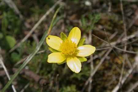 foto_09