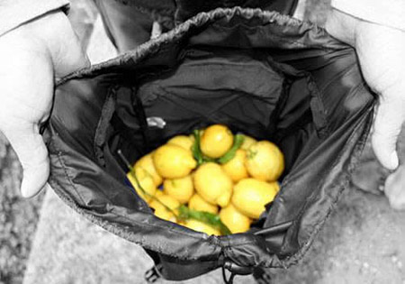 Limoni