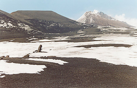 17 Compagni di viaggio