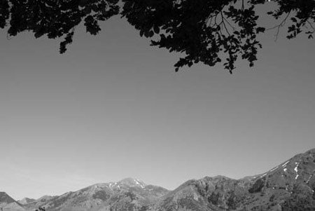 Panoramica