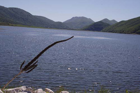 Particolare del lago
