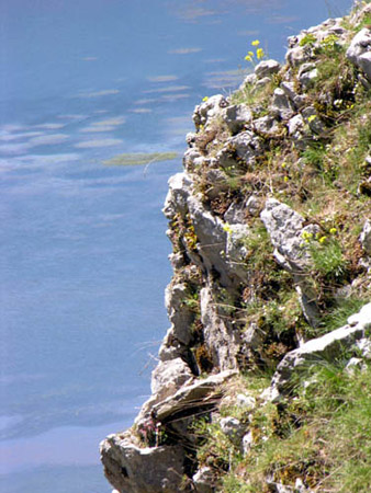 Dscn1371