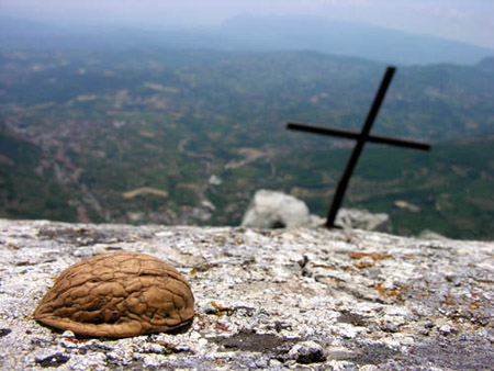 aa crnoce
