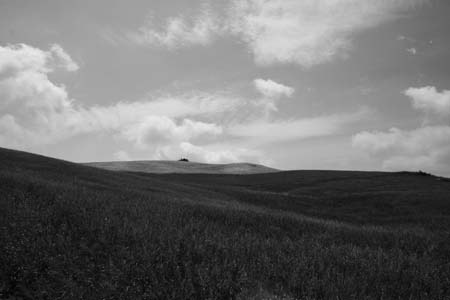 10- dune mosse