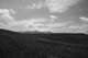 10- dune mosse