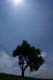 13- raggio di sole
