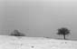 esc_B&W07