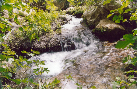 13 Sorgente sull'Anapo