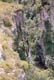03 Gole sull'Anapo